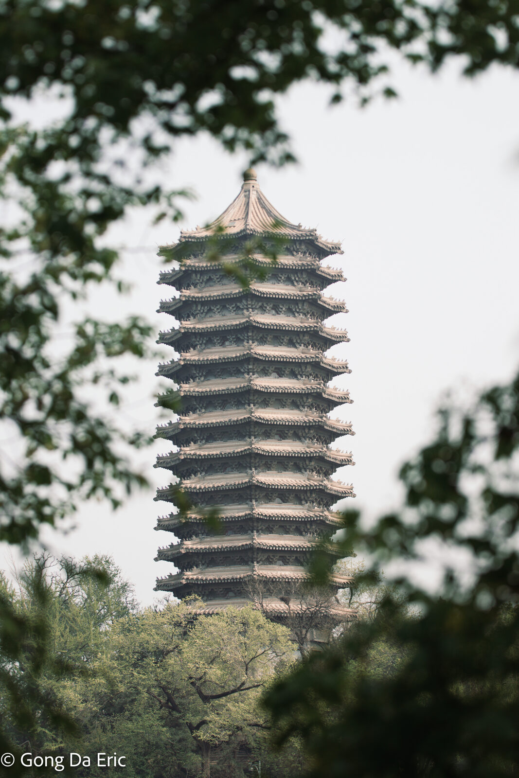 Yanyuan campus, spring 2026